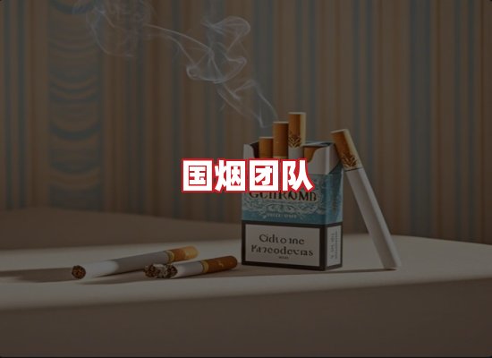 国烟团队